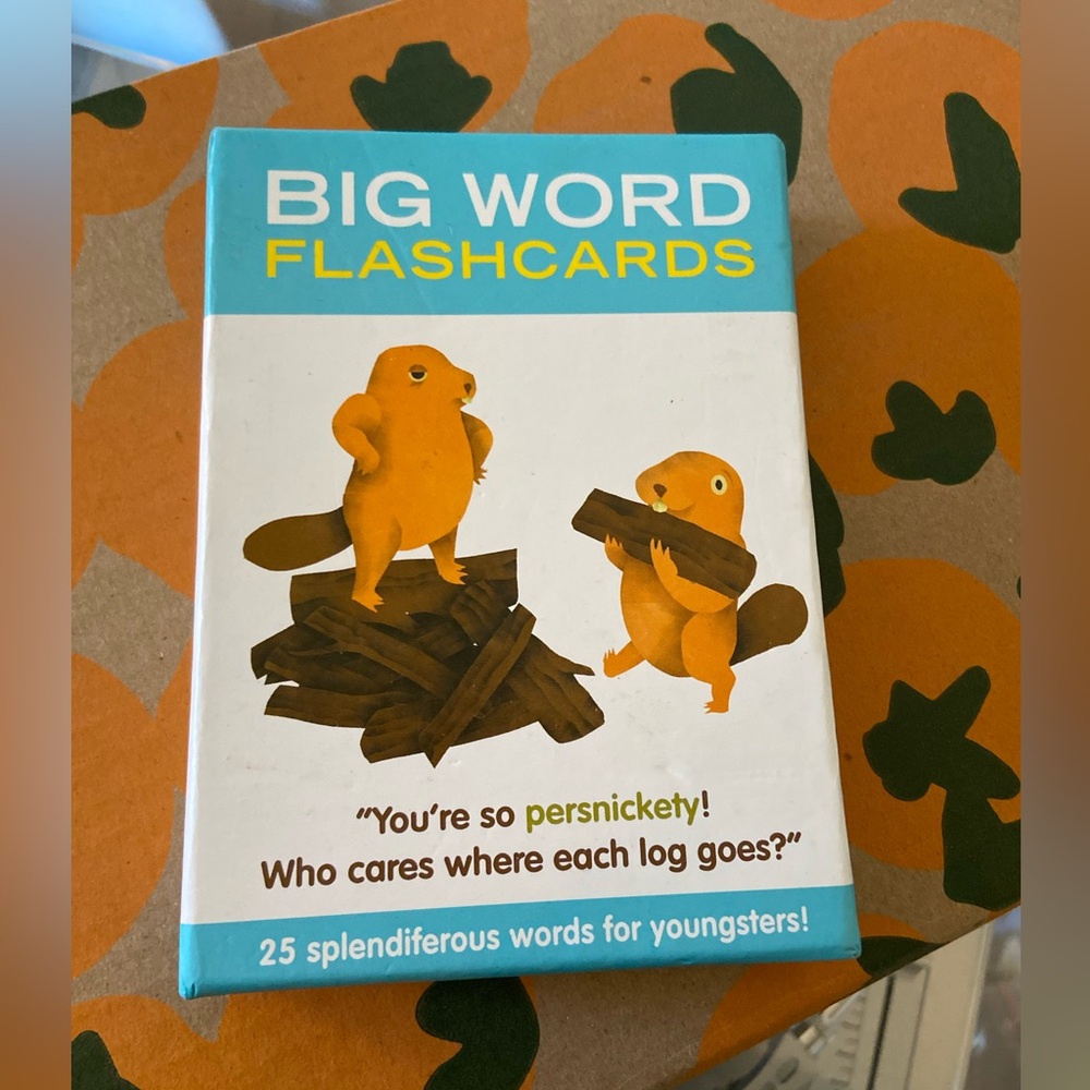 Big Word Flashcards for Kids - Orange